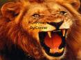 Lion PowerPoint PPT Presentation