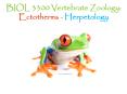 BIOL 3300 Vertebrate Zoology: Ectotherms - Herpetology PowerPoint PPT Presentation