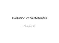 Evolution of Vertebrates PowerPoint PPT Presentation