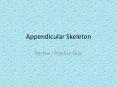 Appendicular Skeleton PowerPoint PPT Presentation