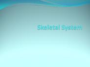 Animal Skeleton and External Anatomy