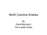 North Carolina Snakes