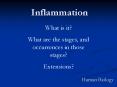Inflammation PowerPoint PPT Presentation