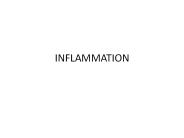 INFLAMMATION