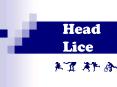 Head Lice PowerPoint PPT Presentation