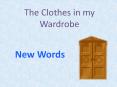 The Clothes in my Wardrobe PowerPoint PPT Presentation