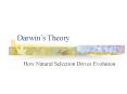 Darwin PowerPoint PPT Presentation