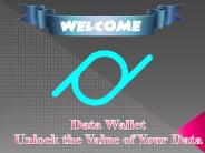 Pay with Secure and Anonymous Data Wallet