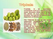 Sewanti's Triphala