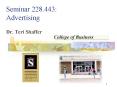 Seminar 228.443: Advertising PowerPoint PPT Presentation