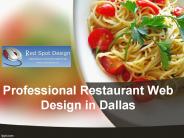 Professional Restaurant Web Design in Dallas (2)