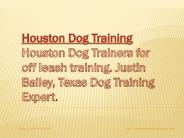 Houston Dog Trainers