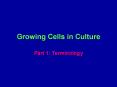 Growing Cells in Culture PowerPoint PPT Presentation