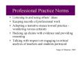 Professional Practice Norms PowerPoint PPT Presentation