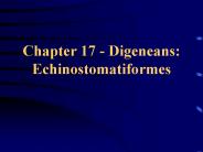Chapter 17 - Digeneans: Echinostomatiformes