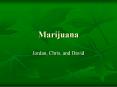 Marijuana PowerPoint PPT Presentation