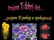 Diapositive 1