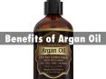 Benefits of Argan Oil PowerPoint PPT Presentation