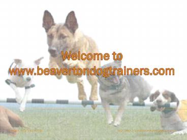 Beaverton dog trainers (1)