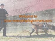 Memphis dog trainers