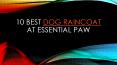 10 best dog raincoat at Essential Paw PowerPoint PPT Presentation