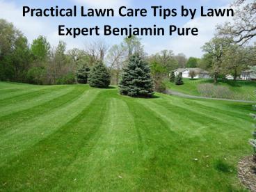 Practical Lawn Care Tips by Lawn Expert Benjamin Pure