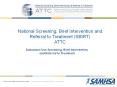 National Screening, Brief Intervention and Referral to Treatment (SBIRT) ATTC PowerPoint PPT Presentation