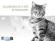 Cat Allergies – Symptoms, Diagnosis, Treatment & Prevention