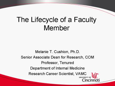 The Lifecycle of a Faculty Member
