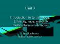 Introduction to terminology: Ethnicity, race, minority, multiculturalism PowerPoint PPT Presentation