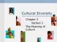 Cultural Diversity PowerPoint PPT Presentation