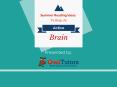 Summer Reading Ideas to Keep the Brain Active PowerPoint PPT Presentation