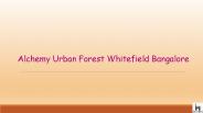 Alchemy Urban Forest Price | Bangalore