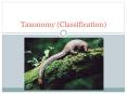 Taxonomy (Classification) PowerPoint PPT Presentation