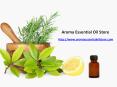 The greatest Uses of Essential oils PowerPoint PPT Presentation