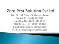 Get termite treatment in Gurgaon with best deals by Zero Pest Control Pvt Ltd