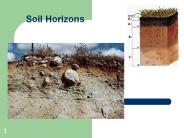 Soil%20Horizons
