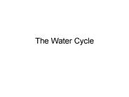 The Water Cycle