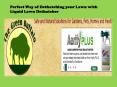 Perfect Way of Dethatching your Lawn with Liquid Lawn Dethatcher (1) PowerPoint PPT Presentation