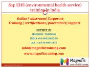 sap ehs online training in usa
