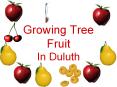 Growing Tree Fruit PowerPoint PPT Presentation