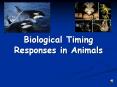 Biological%20Timing%20Responses%20in%20Animals PowerPoint PPT Presentation