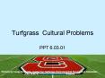 Turfgrass Cultural Problems PowerPoint PPT Presentation