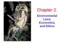 Environmental Laws, Economics, and Ethics PowerPoint PPT Presentation