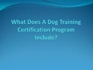 What Does A Dog Training Certification Program Include?