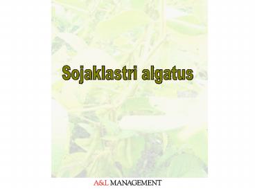 Sojaklastri algatus
