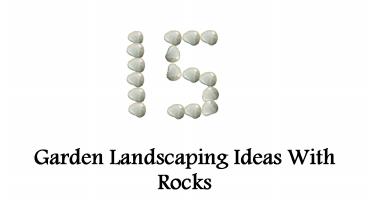 Landscaping ideas