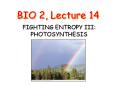 BIO 2, Lecture 14 PowerPoint PPT Presentation