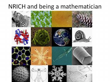 NRICH and being a mathematician