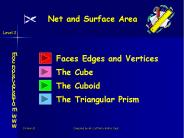 Net and Surface Area